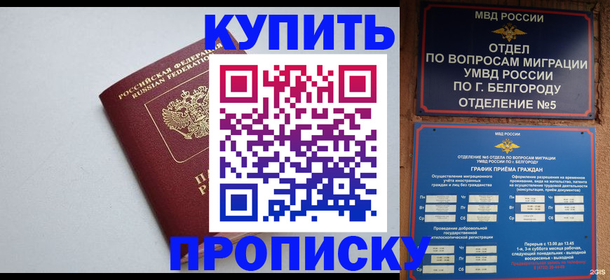 прописка регистрация в Балтийске